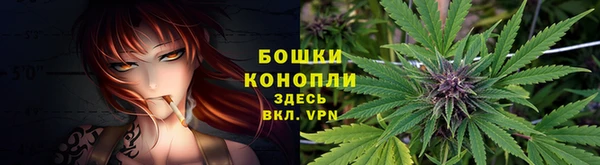 бошки Алексин