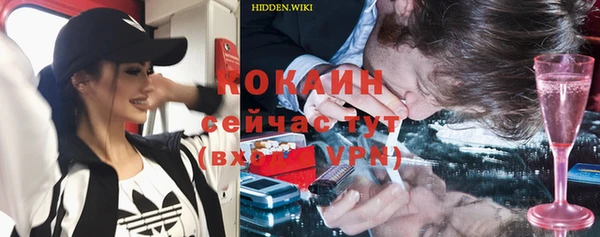 бошки Алексин