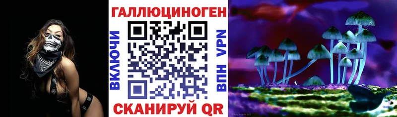 Псилоцибиновые грибы ЛСД  ссылка на мегу как зайти  Приозерск 