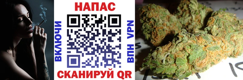 Шишки марихуана MAZAR  где купить наркотик  Приозерск 